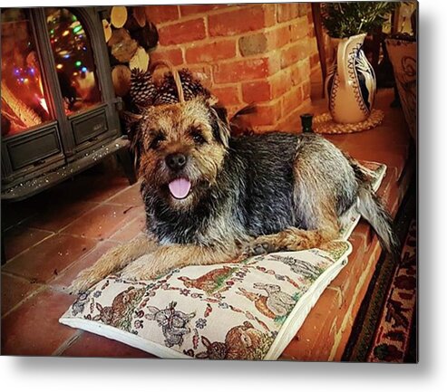 Dog Metal Print featuring the photograph Happy Place by Rowena Tutty