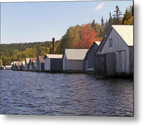Lake Vermillion Metal Print featuring the photograph All In A Row by Li Newton