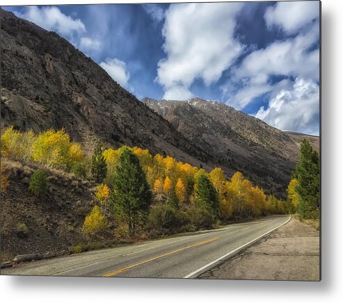 Fall Metal Print featuring the photograph Along The Road by Jonathan Nguyen