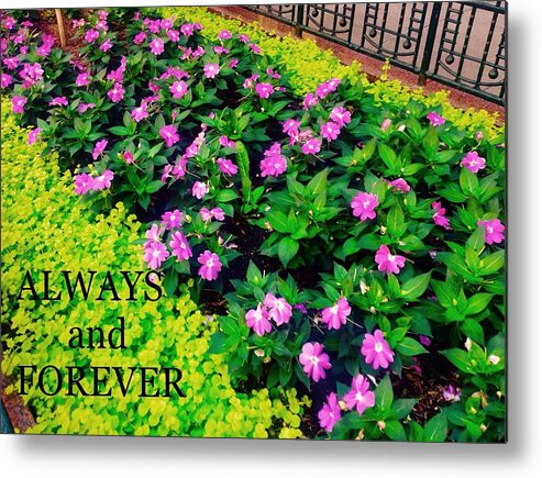  Metal Print featuring the photograph Always and Forever by Jacqueline Manos