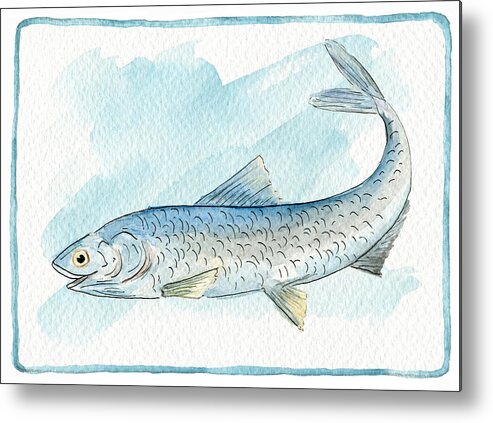 Fish Metal Print featuring the painting Anchovy by Ruth Gonzalez