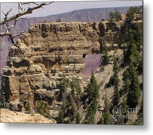 Grand Canyon Metal Print featuring the photograph Angel by Louise Magno