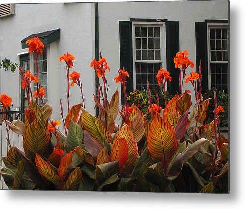 Red Metal Print featuring the photograph Anthocyanin by Char Szabo-Perricelli