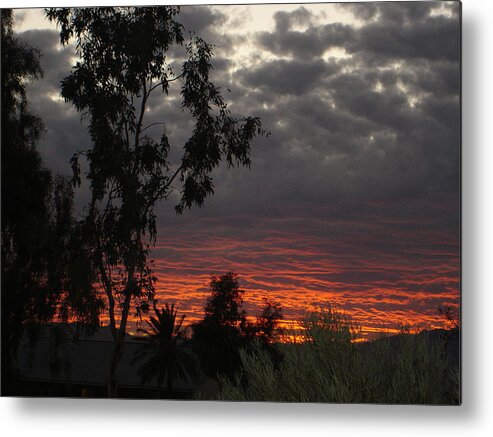 Landscape Metal Print featuring the photograph Arizona Sunset II by Lessandra Grimley