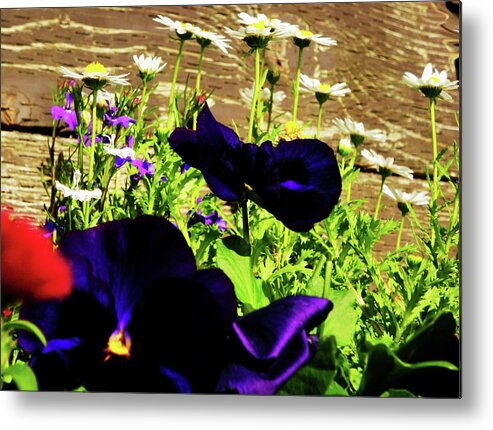 Flowers Metal Print featuring the photograph Attention by Daniele Smith