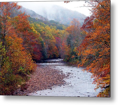 West Virginia Metal Print featuring the photograph Autumn along Williams River by Thomas R Fletcher
