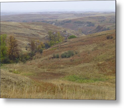 North Dakota Metal Print featuring the photograph Autumn Copper by Cris Fulton