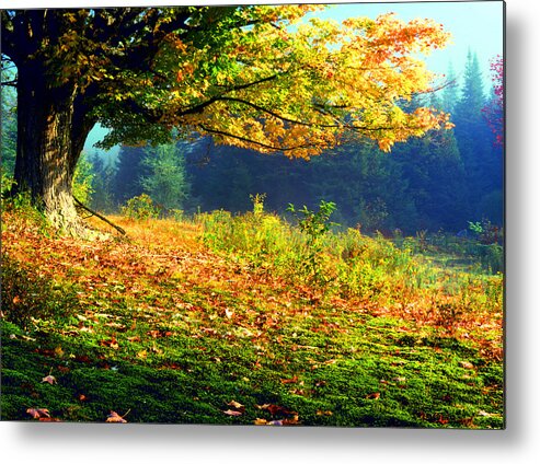 Autumn Landscape Metal Print featuring the photograph Autumn Mist by Frank Houck