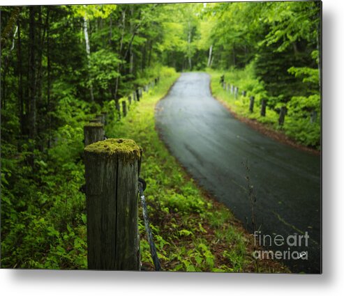 Road Metal Print featuring the photograph Back Road by Alana Ranney