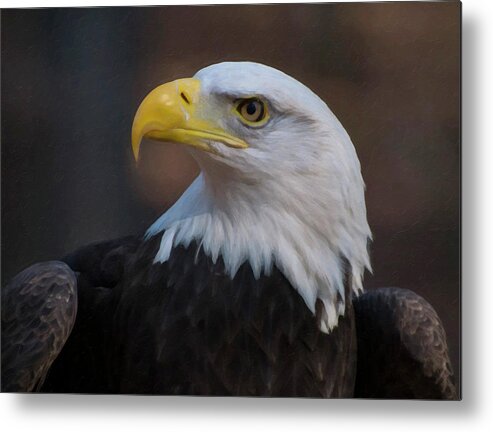 Digital Oil Painting Metal Print featuring the digital art Bald Eagle Painting by Flees Photos