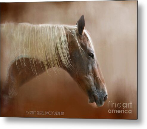 Paint Metal Print featuring the photograph Barely Awake by Kathy Russell