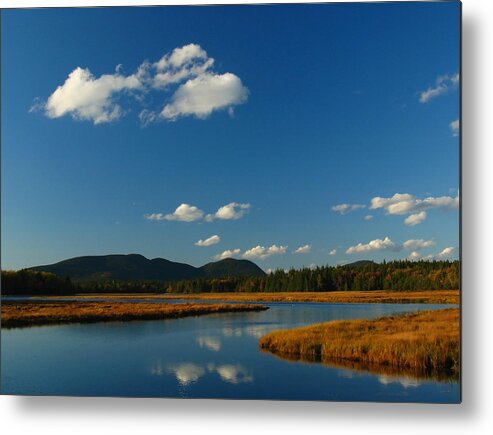 Landscape Metal Print featuring the photograph Bass Harbor Marsh by Juergen Roth