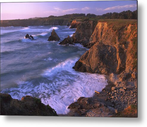 00174147 Metal Print featuring the photograph Beach At Jughandle State Reserve by Tim Fitzharris