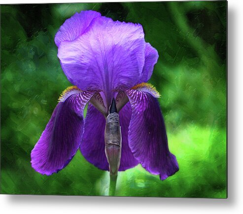 Flowers Metal Print featuring the photograph Beautiful Iris with Texture by Trina Ansel