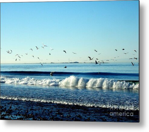 Seagulls Metal Print featuring the photograph Billowing White Waves and Seagulls by Delores Malcomson