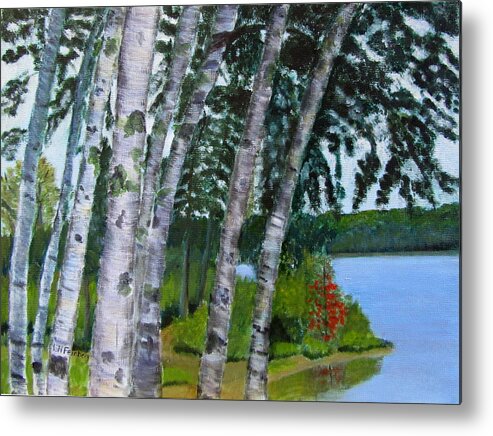 Birches Metal Print featuring the painting Birches at First Connecticut Lake by Linda Feinberg