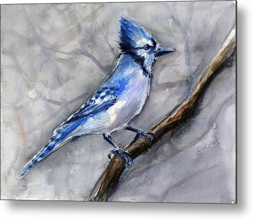 Animal Metal Print featuring the painting Blue Jay Watercolor by Olga Shvartsur