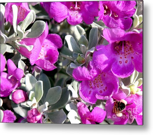 Nature Metal Print featuring the photograph Bottoms Up #2 by Lucyna A M Green
