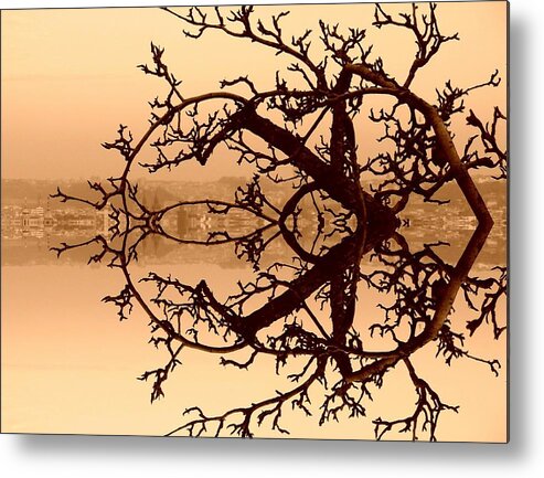 Branches Metal Print featuring the photograph Branches in Suspension by Christopher Brown