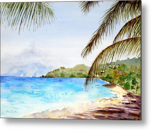 Beach Metal Print featuring the painting Brewers Bay Beach by Diane Kirk