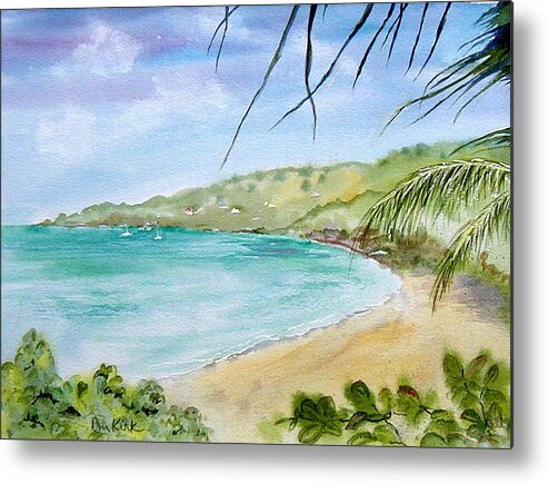 Bvi Metal Print featuring the painting Brewers bay by Diane Kirk