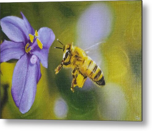 Honey Bee Metal Print featuring the mixed media Busy Bee by Cara Frafjord