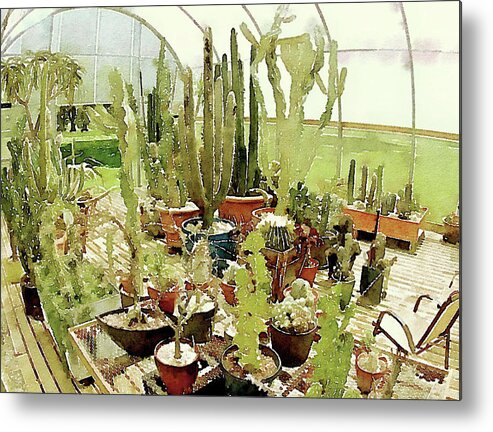 Cactus Metal Print featuring the photograph Cacti in the Greenhouse by Susan Maxwell Schmidt