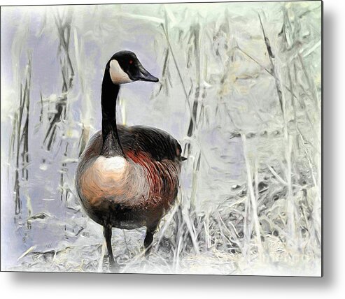 Goose Metal Print featuring the photograph Canada Goose by Elaine Manley