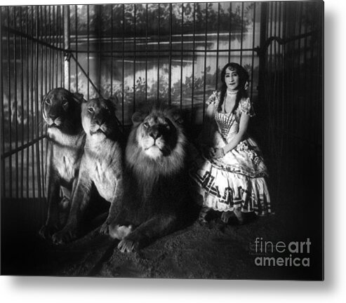 1899 Metal Print featuring the photograph CIRCUS, LION TAMER, c1899. by Granger