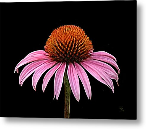 Cone Flower Metal Print featuring the painting Cone Flower - Rudbeckia by Sue Brehant