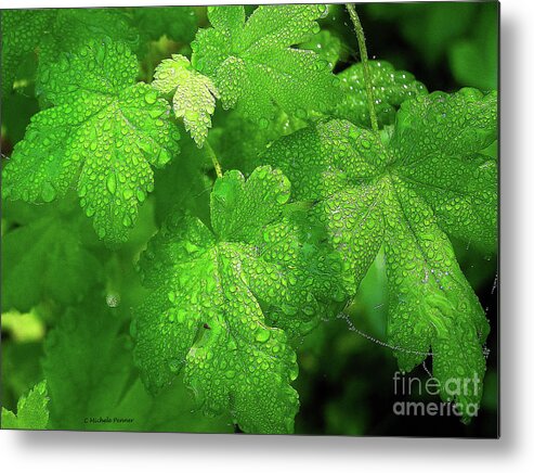 Leaves Metal Print featuring the photograph Covered in Rain Drops by Michele Penner