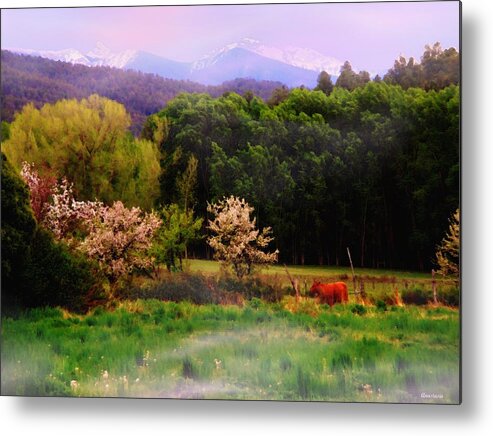 Mountains Metal Print featuring the photograph Deep Breath of Spring El Valle New Mexico by Anastasia Savage Ealy