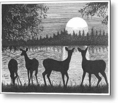 Deer Metal Print featuring the drawing Deer at Dusk by Lawrence Tripoli