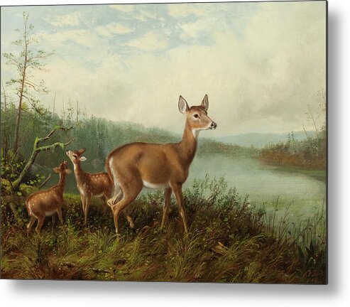 Arthur Fitzwilliam Tait (18191905) Doe And Fawns By Long Lake Metal Print featuring the painting Doe and Fawns by Long Lake by MotionAge Designs