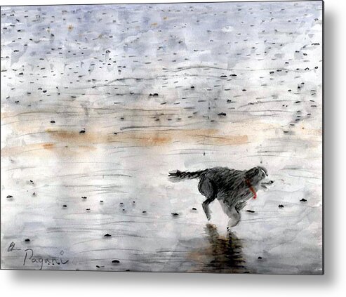 Watercolor Metal Print featuring the painting Dog on Beach by Chriss Pagani