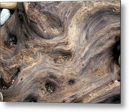 Horizontal Metal Print featuring the photograph Driftwood and Stone by Valerie Collins