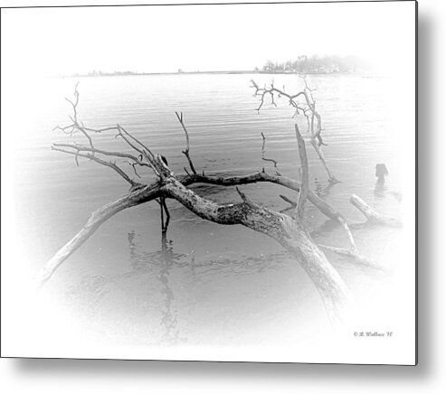 2d Metal Print featuring the photograph Driftwood Vignette - Grayscale by Brian Wallace