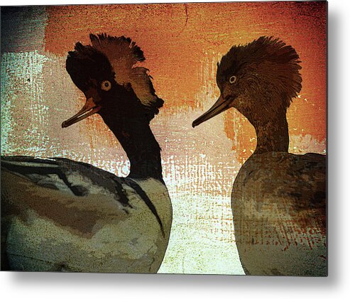 Ducks Metal Print featuring the photograph Duckology by Char Szabo-Perricelli