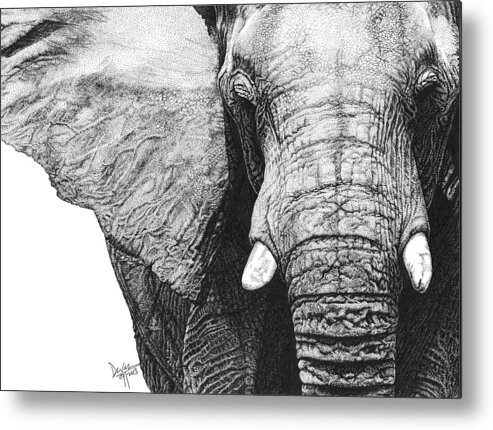 Elephant Metal Print featuring the drawing Elephant by Deven Singh Kshetrimayum