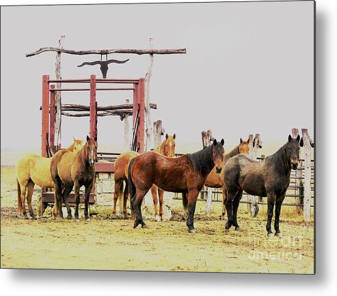 Horses Metal Print featuring the photograph Eyes on Me by Merle Grenz
