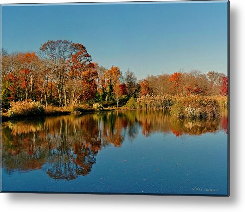 Woods Metal Print featuring the photograph Fall scene by Mikki Cucuzzo