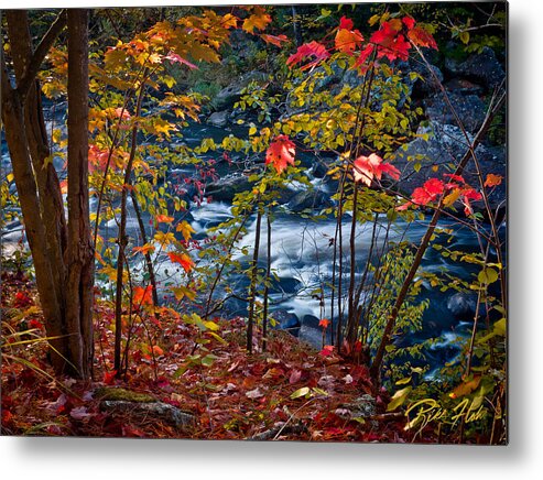Autumn Metal Print featuring the photograph Fall - Streamside, by Rikk Flohr