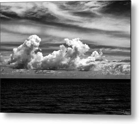 Flordia Metal Print featuring the photograph Florida Seascape by Louis Dallara