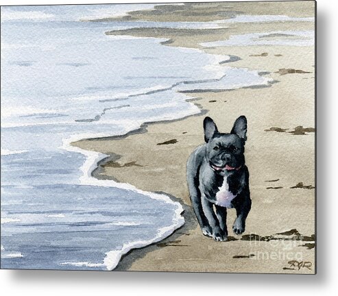 French Metal Print featuring the painting French Bulldog at the Beach by David Rogers