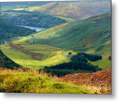 Irish Countryside Metal Print featuring the photograph Glendalough Valley, County Wicklow by Rosanne Licciardi