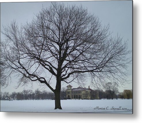 Buy Metal Print featuring the photograph Graceful Tree and Belle Isle Eating Casino in Distance by Monica C Stovall