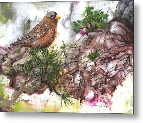 Bird Metal Print featuring the painting Grey Crown Rosy Finch by Sherry Shipley