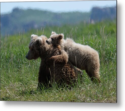 Wildlife Metal Print featuring the digital art Grizzly Mother And a Cub in Katmai National Park by Lena Owens - OLena Art Vibrant Palette Knife and Graphic Design