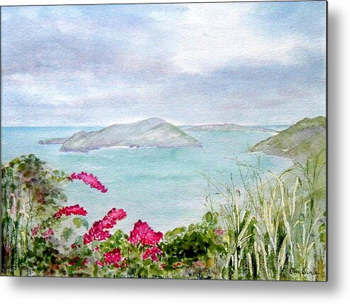 Tortola Metal Print featuring the painting Guana Island by Diane Kirk
