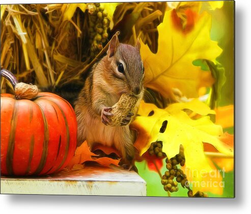Chipmunk Metal Print featuring the photograph Happy Harvest by Tina LeCour